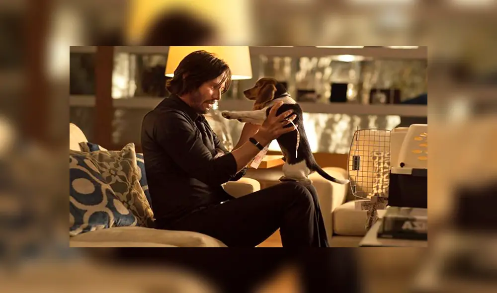 Facebook: 'cuido a tu perro como John Wick’, el curioso anuncio de un estudiante que se hizo viral