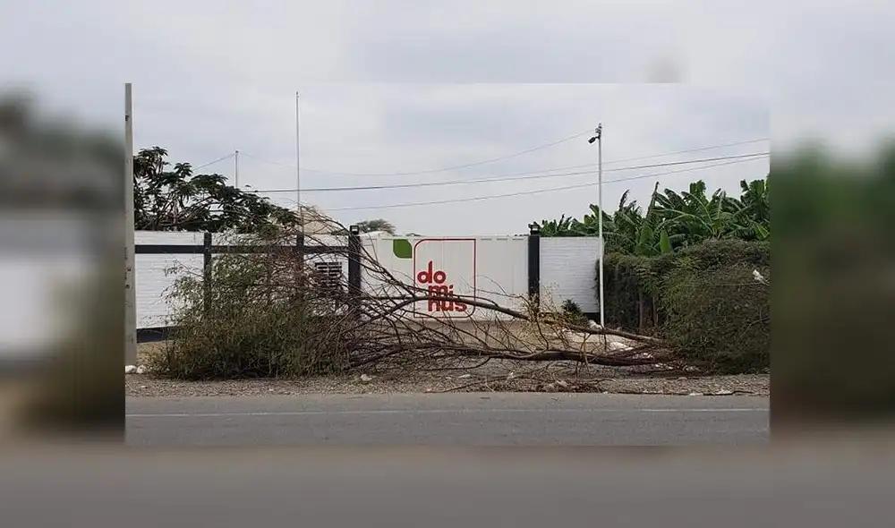 Piura: agricultores bloquean ingreso a fábricas agroexportadoras [VIDEO]