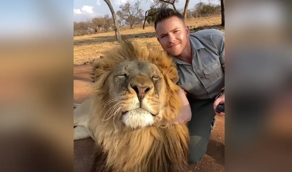 Desliza hacia la izquierda para ver las imágenes del viral más famoso en las redes sociales. Foto: Captura de YouTube