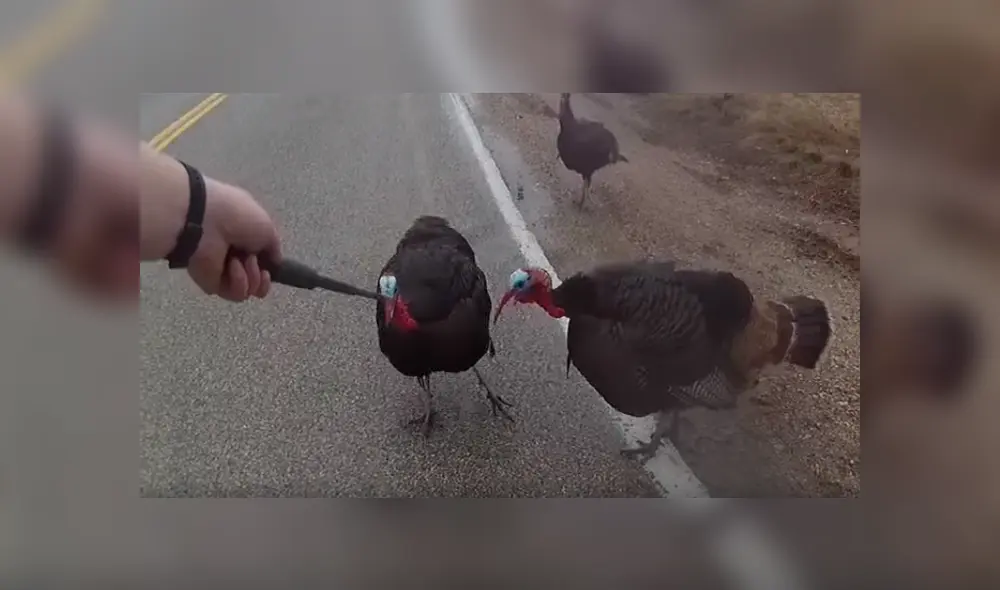 Desliza para ver todas las imágenes de Facebook. Foto: captura.