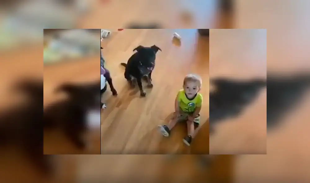 En Facebook, un pequeño trató de copiar los singulares movimientos que realizaron sus perros al escuchar a su madre. En Facebook, un pequeño trató de copiar los singulares movimientos que realizaron sus perros al escuchar a su madre.