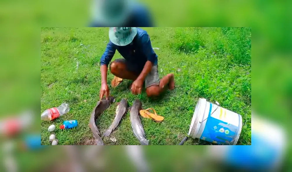 Desliza hacia la izquierda para ver a los animales que emergieron del hoyo. Video es viral en YouTube. Desliza hacia la izquierda para ver a los animales que emergieron del hoyo. Video es viral en YouTube.