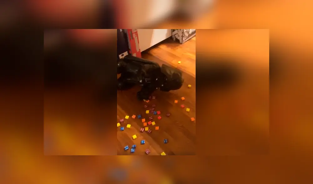 Desliza las imágenes para observar la travesura que cometió un gato al aprovechar distracción de su dueño. Desliza las imágenes para observar la travesura que cometió un gato al aprovechar distracción de su dueño.