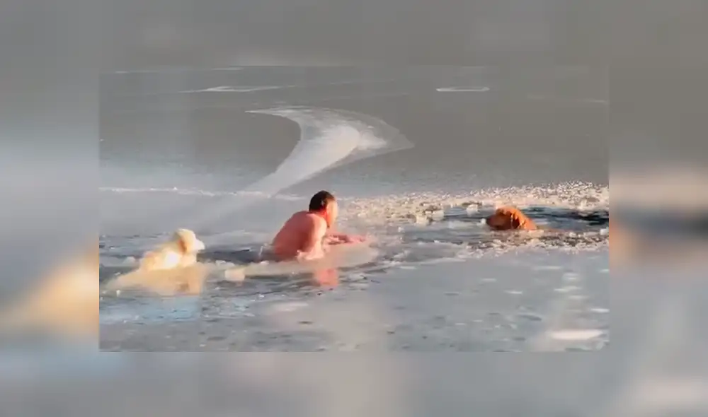 Facebook: valiente hombre y su mascota rescatan a dos perros atrapados en lago congelado [VIDEO]