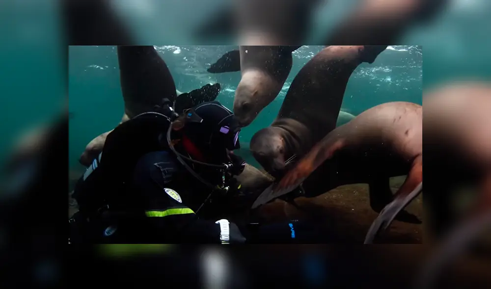 Desliza para ver los momentos más impactantes de este encuentro que se hizo viral en Facebook.