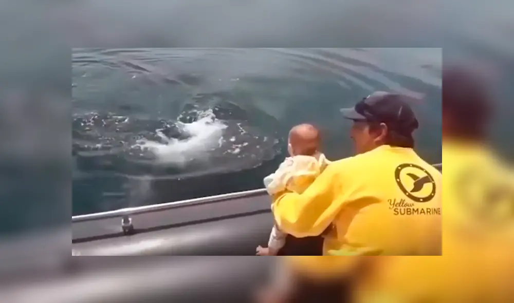 Osado papá acercó a su hija al mar buscando tener algún avistamiento de criaturas marinas, sin imaginar que tendría una impactante experiencia que ha sorprendido al mundo