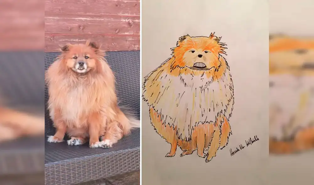 Desliza las imágenes hacia la izquierda para apreciar los dibujos de animales realizados por un joven. Fotos: Pet Portraits By Hercule.