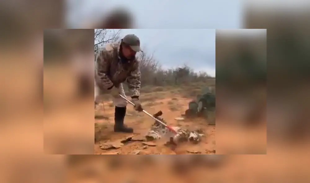 Para ver lo que ocurrió con el osado turista revisa las capturas del video viral de Facebook, deslizando cada imagen hacia la izquierda.