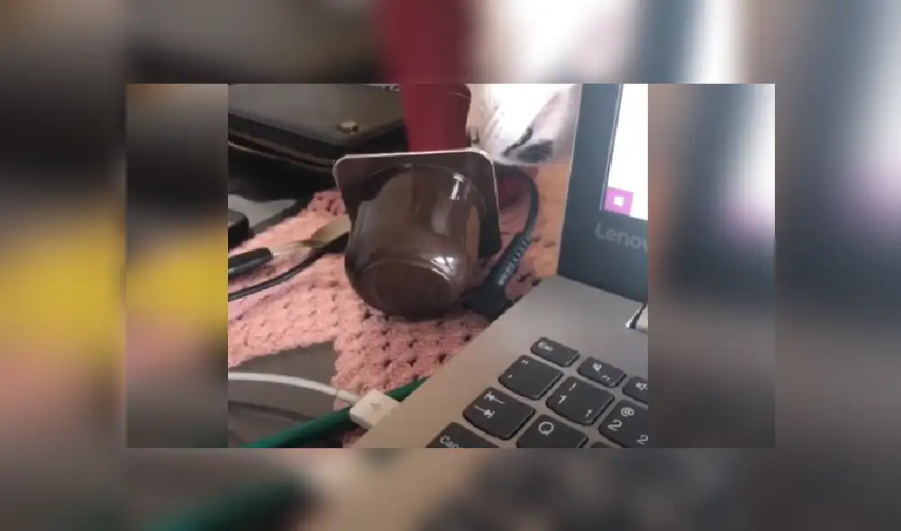 Desliza hacia la izquierda para ver más fotos del gracioso momento del 'robo' que protagonizó el gatito. Desliza hacia la izquierda para ver más fotos del gracioso momento del 'robo' que protagonizó el gatito.