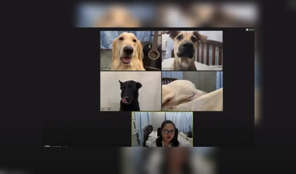 Desliza hacia la izquierda para ver más del video viral