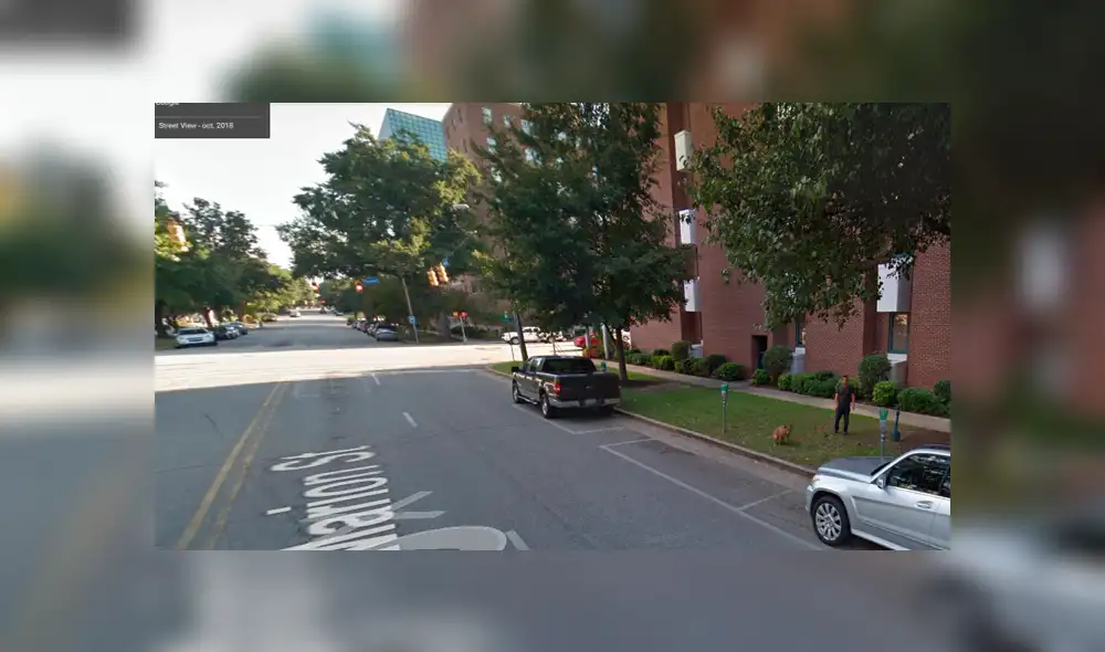 Google Maps: capta a hombre en curiosa escena con su perro cuando recorre calle de EE.UU [FOTOS]