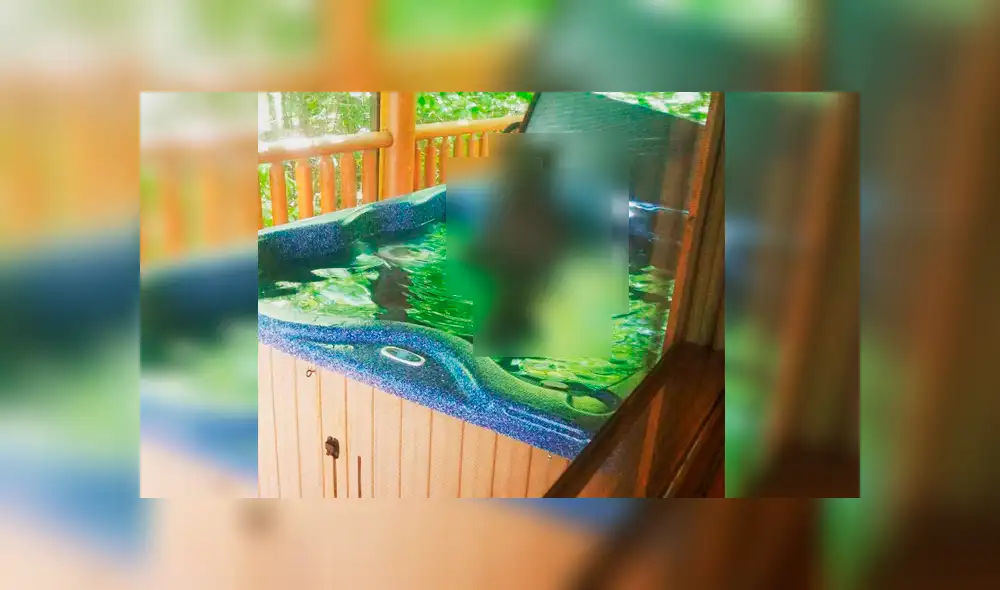 Facebook viral: Novios descubren gigantesca criatura bañándose en su jacuzzi y quedan en shock [VIDEO]
