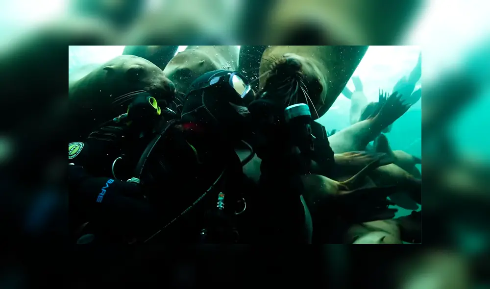 Desliza para ver los momentos más impactantes de este encuentro que se hizo viral en Facebook.