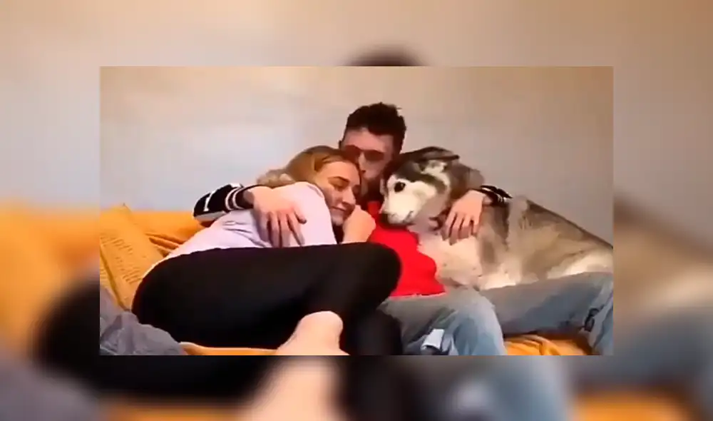 Facebook viral: perro celoso tiene increíble al ver a chico abrazar a su dueña sorprende a usuarios [VIDEO] 