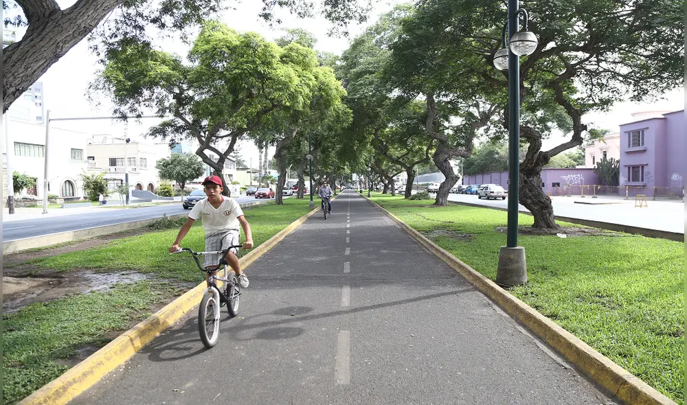 Árboles para enfriar las ciudades Árboles para enfriar las ciudades