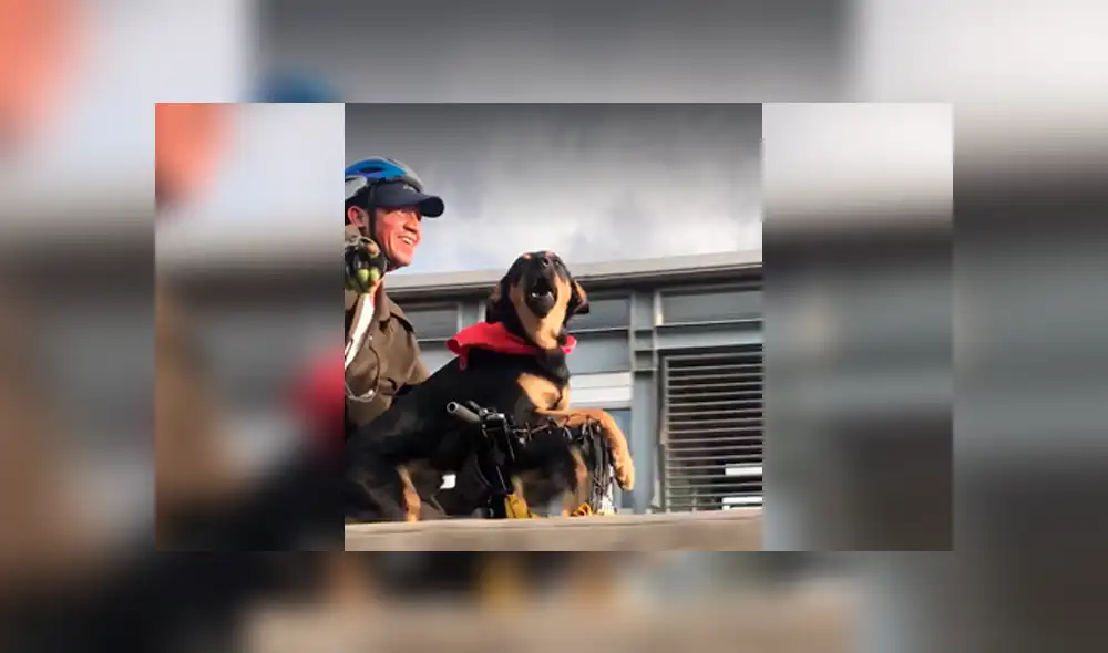 Desliza a la izquierda para ver más sobre este nuevo viral de Facebook. Foto: Captura.