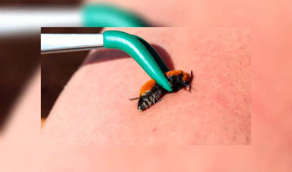 Desliza para ver los momentos más impactantes de este arriesgado experimento que se hizo viral en YouTube. Desliza para ver los momentos más impactantes de este arriesgado experimento que se hizo viral en YouTube.