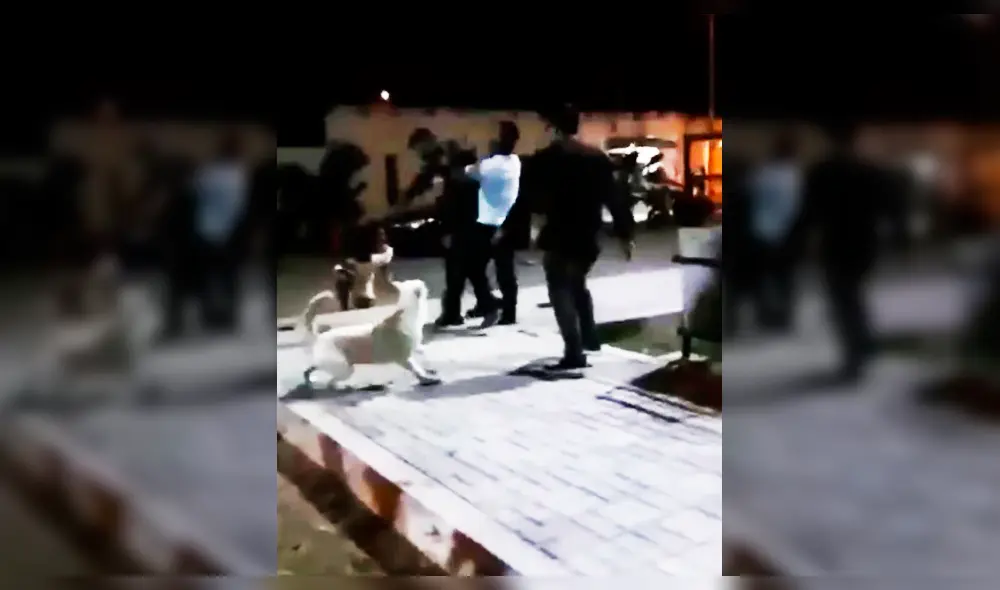 Toda la agresión quedó registrada en un vídeo. Toda la agresión quedó registrada en un vídeo.