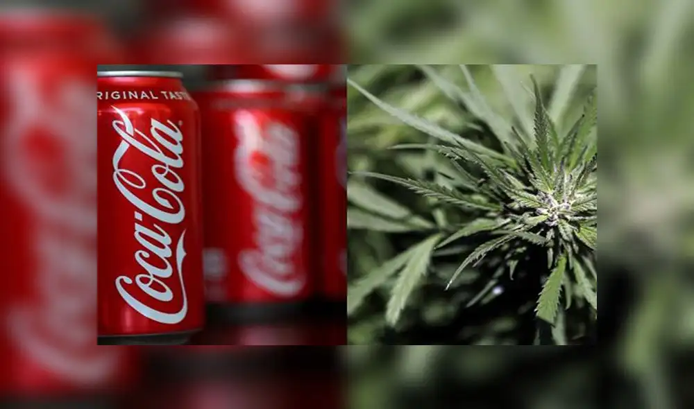 ¿Gaseosas con cannabis? Coca-Cola evalúa añadir compuesto a sus bebidas