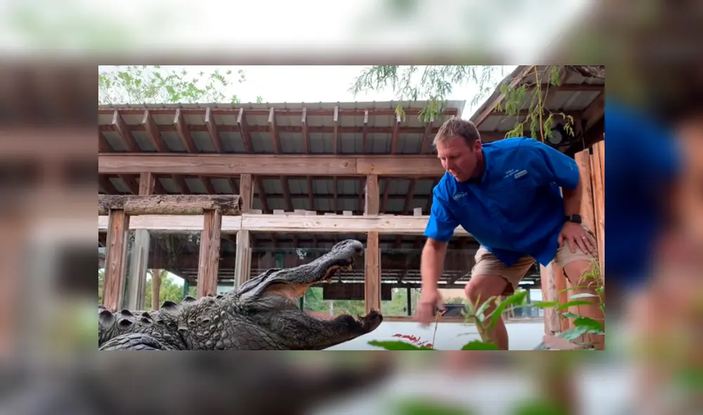 Desliza hacia la izquierda para ver el feroz ataque del cocodrilo. Escena que es viral en YouTube.