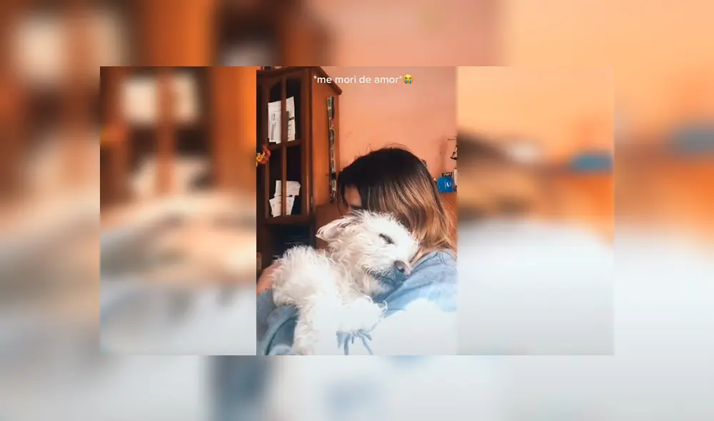 Desliza las imágenes para conocer el amoroso comportamiento de un perro al recibir un abrazo de su dueña. Foto: Captura.