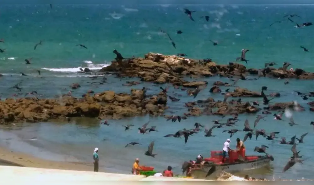 Talara: balneario Las Peñitas convertido en puerto de pescadores [VIDEO]