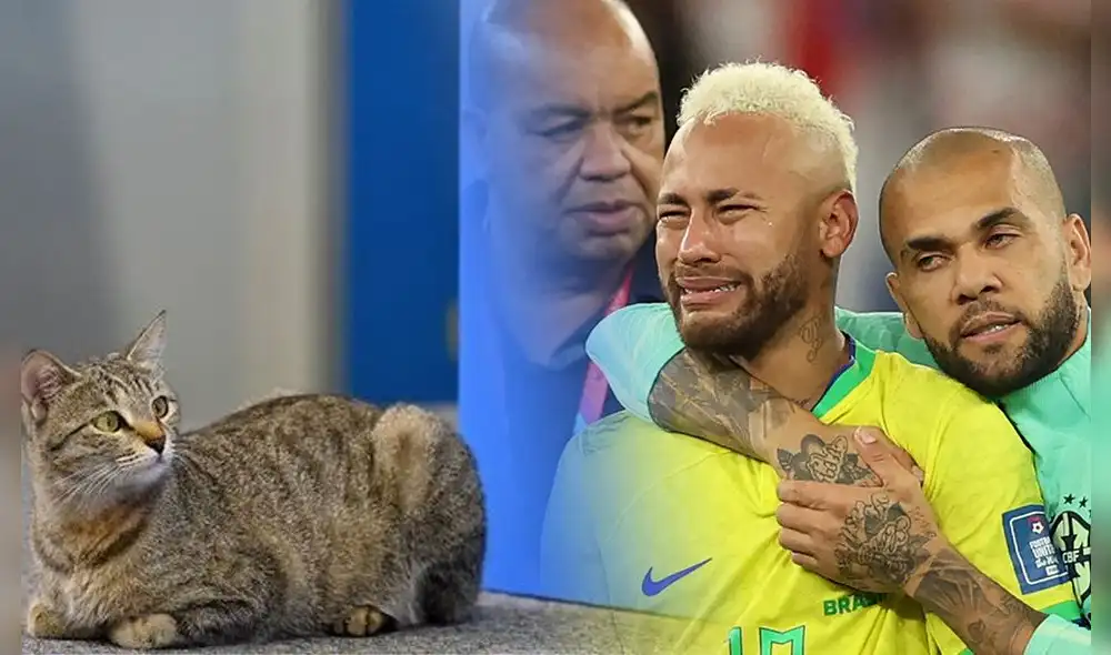 La última vez que Brasil ganó la Copa del Mundo fue en el 2002. Foto: composición LR/AFP/Twitter