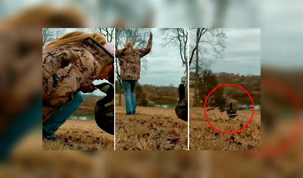 El ave pudo tener su primer vuelo tras haber sido rescatado de un lugar en el que le impedían desprender sus alas. Foto: captura