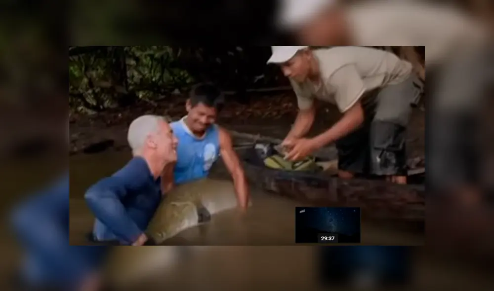 Pescadores ingresan a peligroso río para captura a gigantesco monstruo de río. Pescadores ingresan a peligroso río para captura a gigantesco monstruo de río.