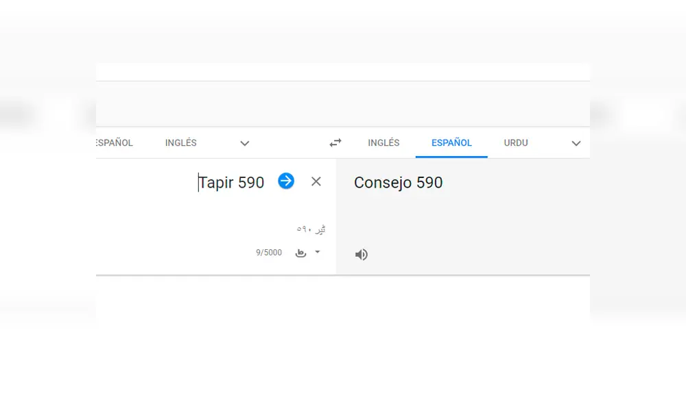 Google Translate: 'Tapir 590' es la nueva victima del traductor por los resultados que dejaron en shock a miles [FOTOS]