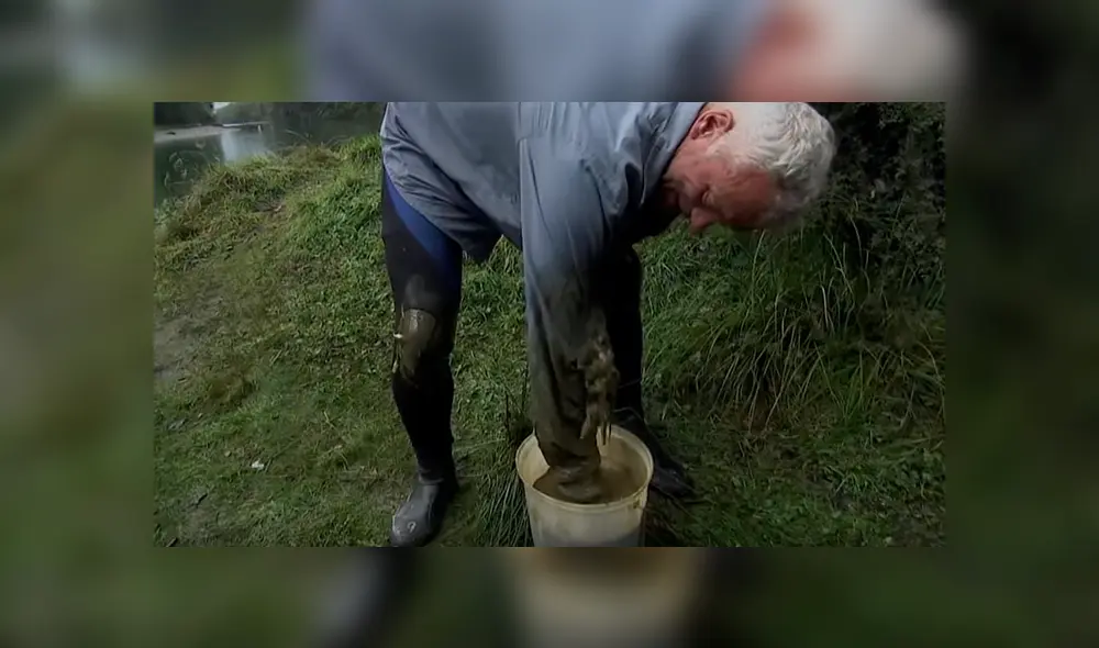 Un video viral de YouTube registró el momento en que un pescador retiró del agua a una peligrosa criatura. Un video viral de YouTube registró el momento en que un pescador retiró del agua a una peligrosa criatura.