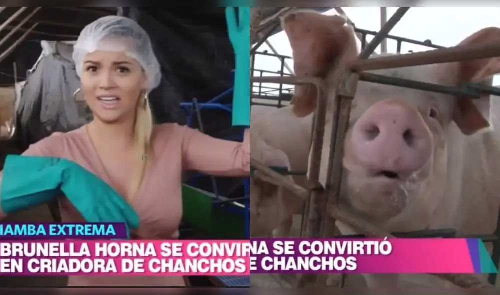 Brunella Horna Brunella Horna
