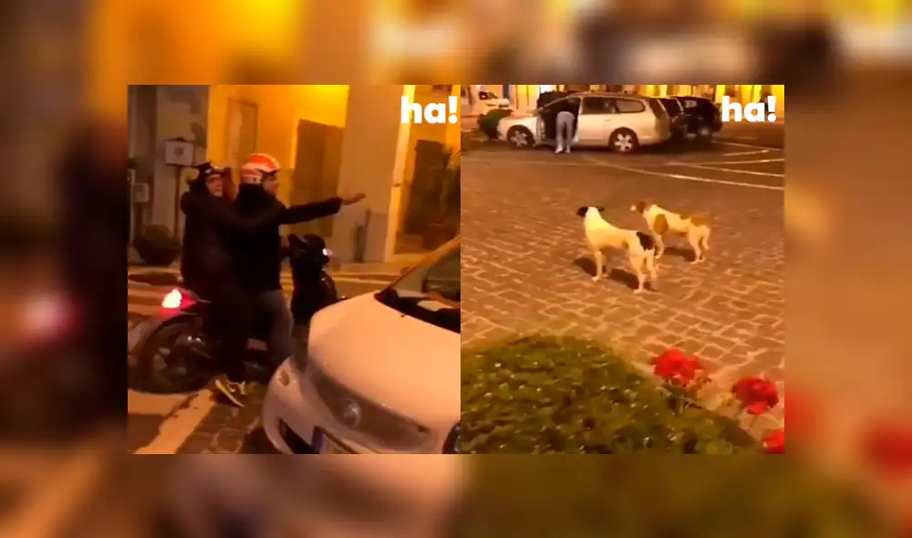 Desliza a la izquierda para ver este nuevo viral de Facebook. Foto: Captura. Desliza a la izquierda para ver este nuevo viral de Facebook. Foto: Captura.