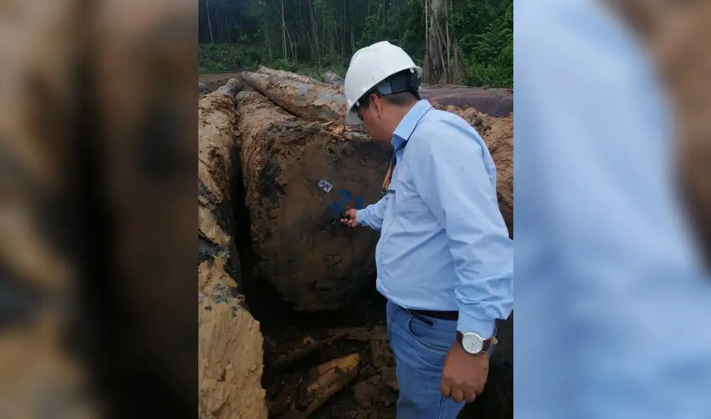 La trazabilidad: mecanismos para la sostenibilidad del sector forestal La trazabilidad: mecanismos para la sostenibilidad del sector forestal