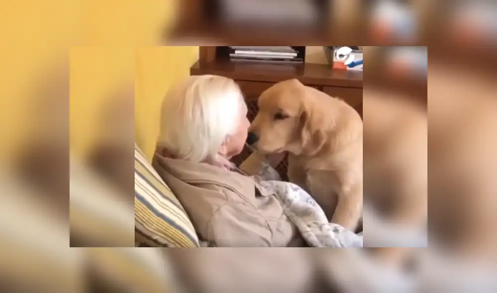 Desliza las imágenes para ver más detalles de esta tierna escena que es viral en Facebook.