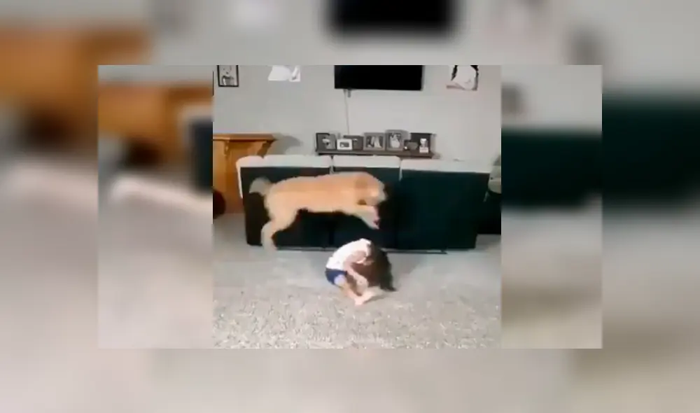 En Facebook, una madre se sorprendió al revisar las imágenes de su cámara de vigilancia y captar una tierna escena de su hija. En Facebook, una madre se sorprendió al revisar las imágenes de su cámara de vigilancia y captar una tierna escena de su hija.