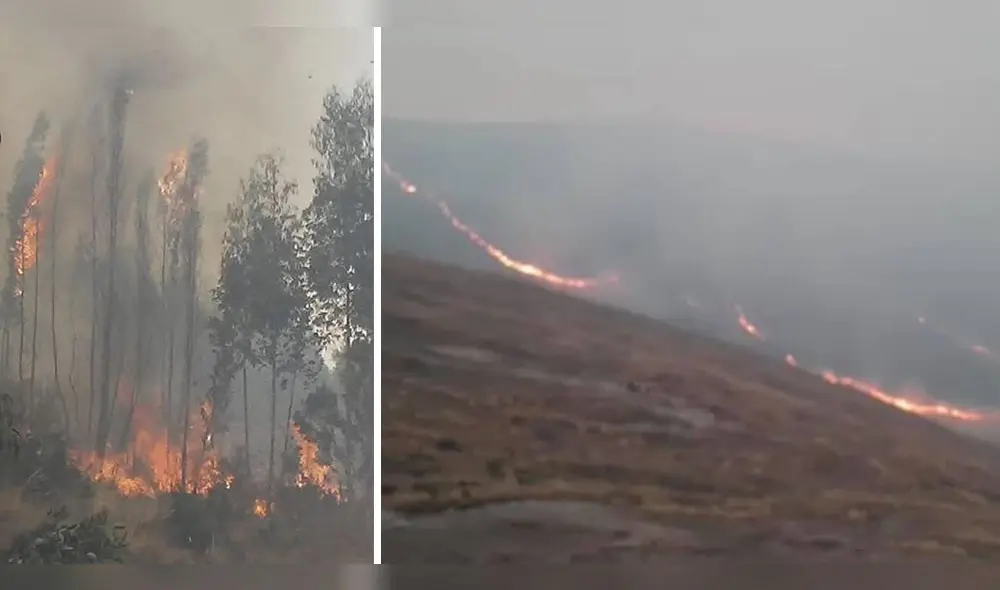 Fuego viene arrasando árboles de pino en la zona de Lawa Lawa en Quispicanchi en Cusco.
