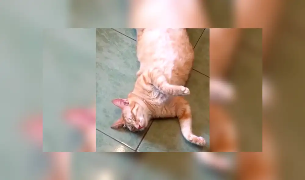 Desliza la imagen de Facebook para ver todas las fotos.