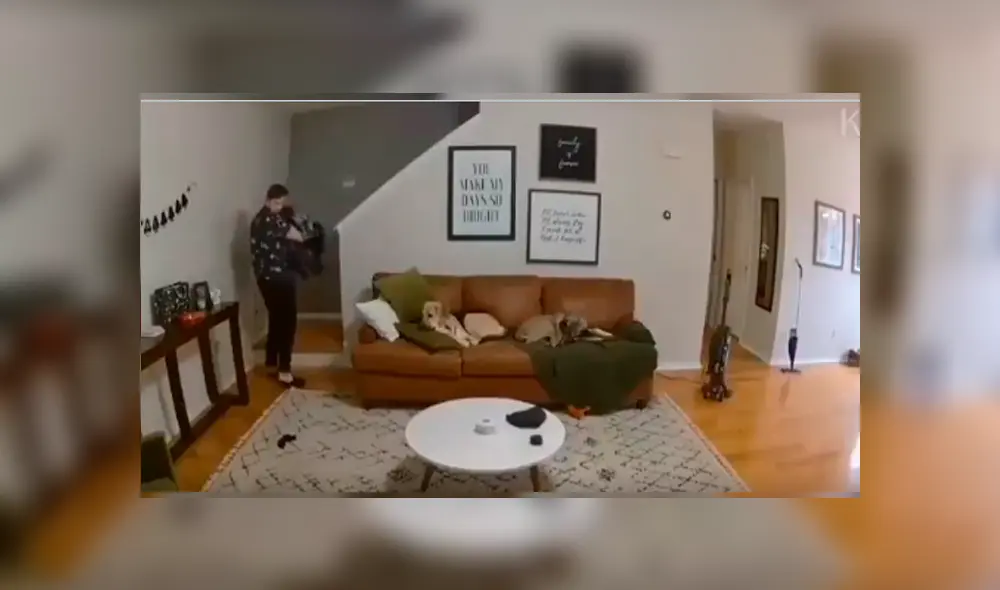 Video es viral en Facebook. El can se percató de que su amo necesitaba “una mano” y no dudó en dejar un momento su momento de siesta para ayudarlo.