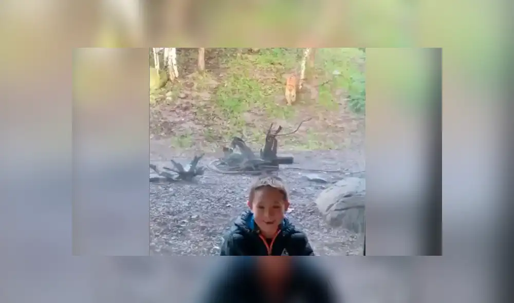 Desliza hacia la izquierda el encuentro del felino con el niño, escena que es viral en Facebook. Desliza hacia la izquierda el encuentro del felino con el niño, escena que es viral en Facebook.