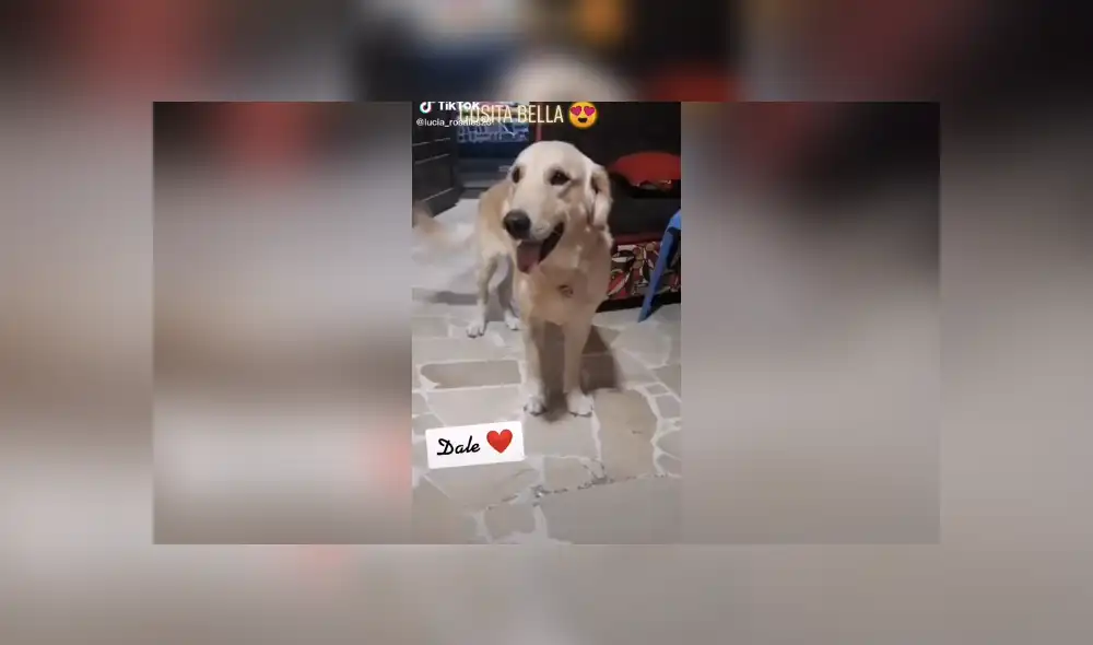 Desliza para ver el desenlace de este video viral publicado en YouTube. Foto: Captura. Desliza para ver el desenlace de este video viral publicado en YouTube. Foto: Captura.