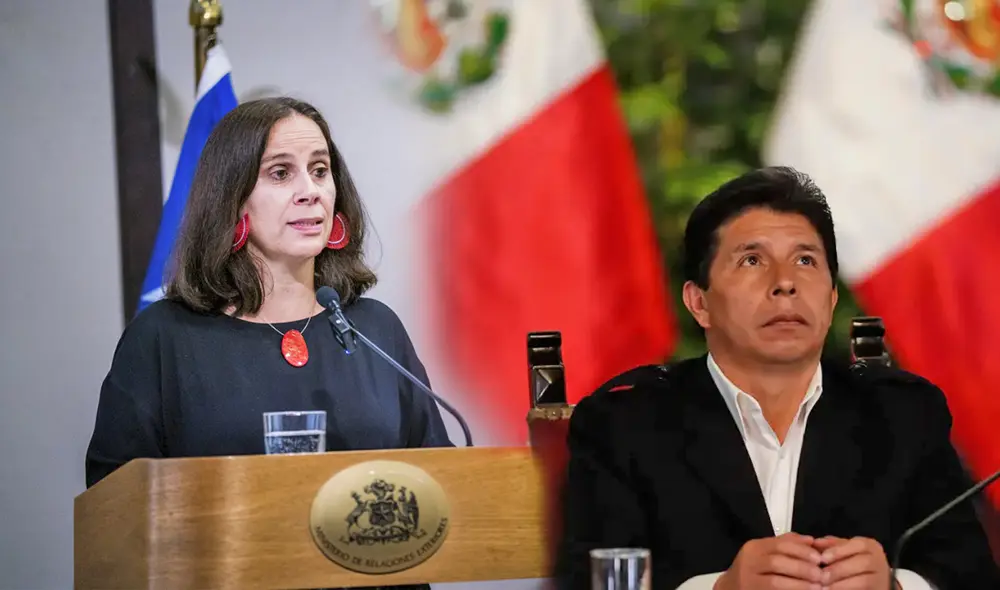 La funcionaria brindó estas declaraciones en una entrevista con el medio 24 Horas. Foto: EFE/@Minrel_Chile/Twitter