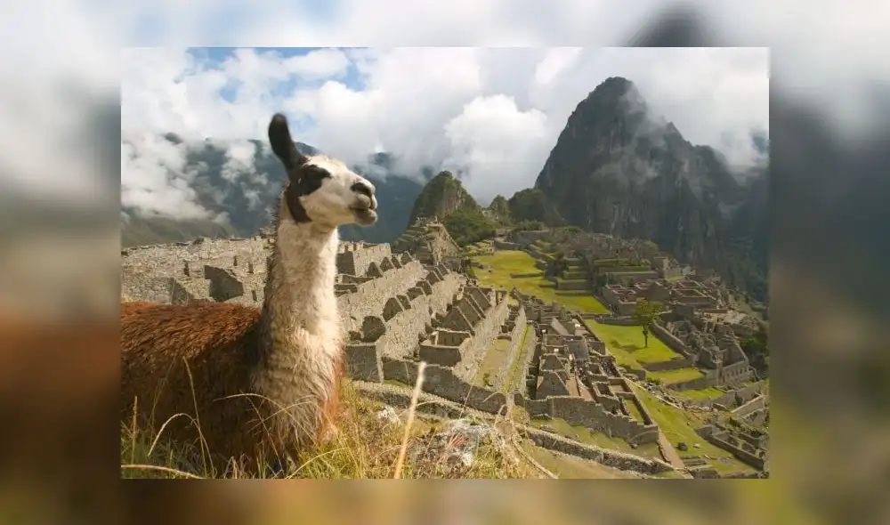 Feriado 2019 Feriado 2019