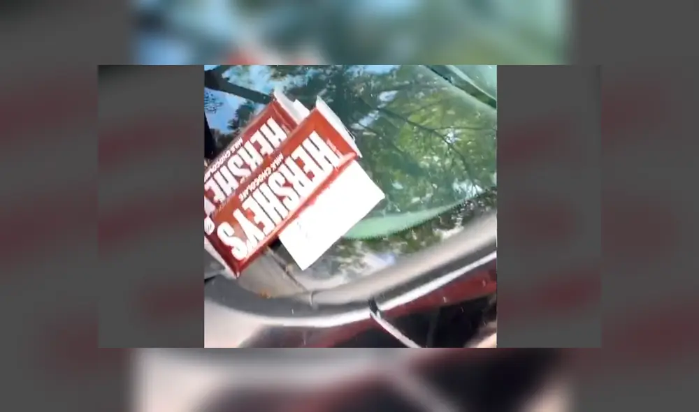 Desliza la imagen compartida para verlas todas. Foto: @joceloon/TikTok Desliza la imagen compartida para verlas todas. Foto: @joceloon/TikTok