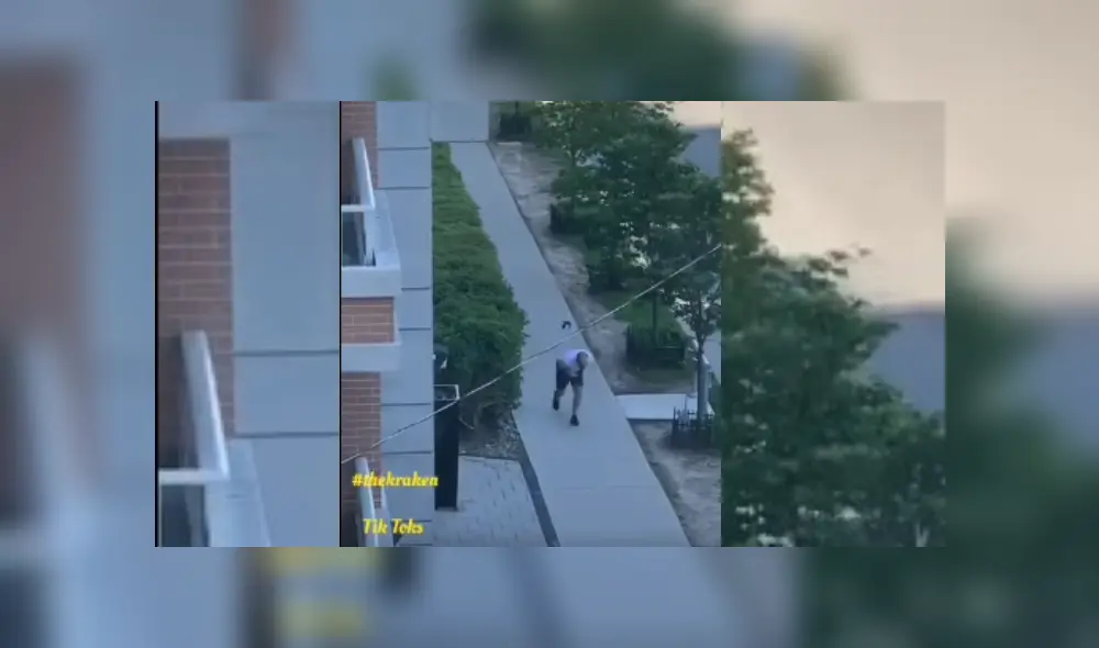 Video es viral en Facebook. El ave se ha vuelto el terror de los transeúntes que pasan por el lugar. Algunos son sorprendidos por el animal y no saben cómo actuar. Fotocaptura: Facebook