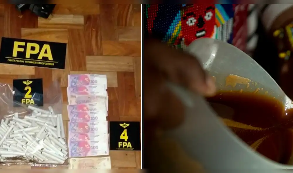 Policía detuvo a 3 personas que lucraban con ayahuasca en Argentina