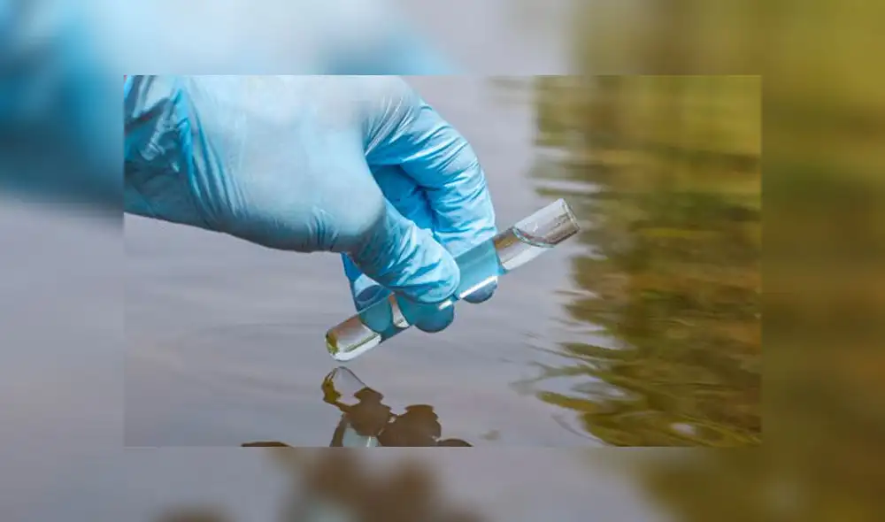 Hallaron rastros del coronavirus en aguas residuales de una ciudad de Países Bajos. Foto referencial.