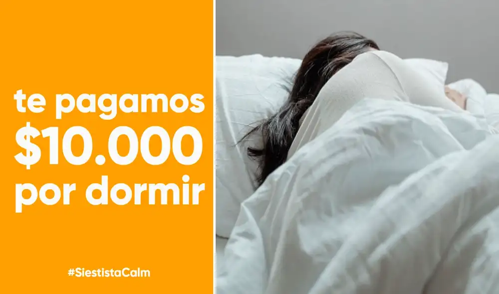 Miles de personas enviaron sus currículums con la esperanza de ser elegidos. Foto: composición LR/captura de Twitter/@Calm_essimple Miles de personas enviaron sus currículums con la esperanza de ser elegidos. Foto: composición LR/captura de Twitter/@Calm_essimple