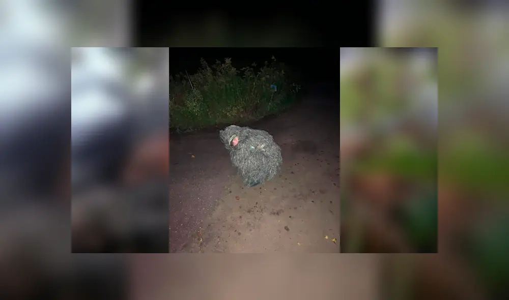 Desliza para ver las fotos de este viral de Facebook. Foto: Captura.