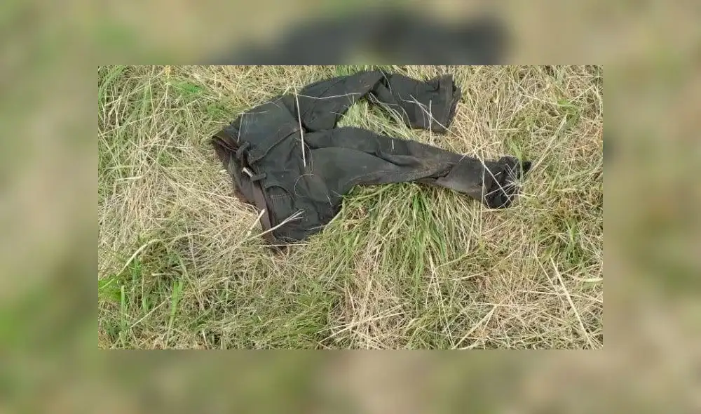 Hallan cabeza descompuesta colgada de un árbol junto con cadáver descuartizado [FOTOS]